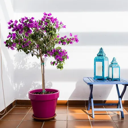Apartment Con Vistas Y Garaje En Marina Del La Herradura (Granada)
